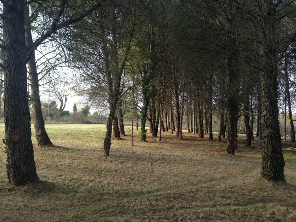 Le Mas De Trevouse Saint-Saturnin-lès-Avignon Εξωτερικό φωτογραφία