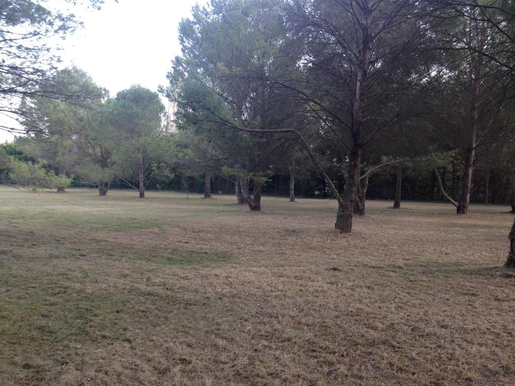 Le Mas De Trevouse Saint-Saturnin-lès-Avignon Εξωτερικό φωτογραφία