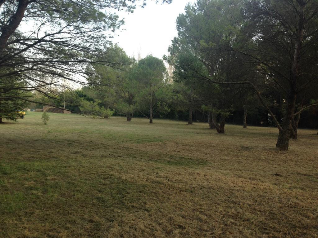 Le Mas De Trevouse Saint-Saturnin-lès-Avignon Εξωτερικό φωτογραφία