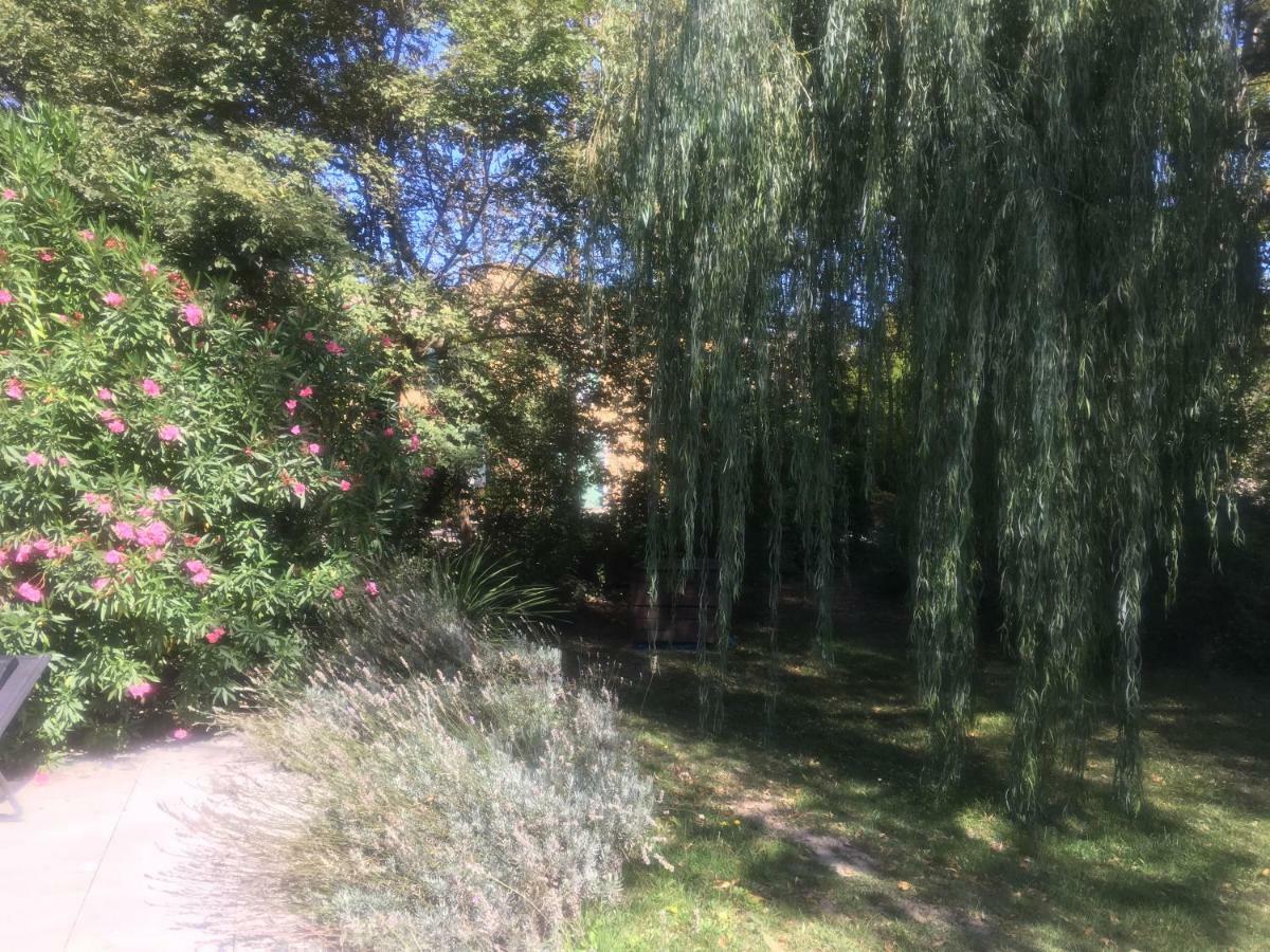 Le Mas De Trevouse Saint-Saturnin-lès-Avignon Εξωτερικό φωτογραφία